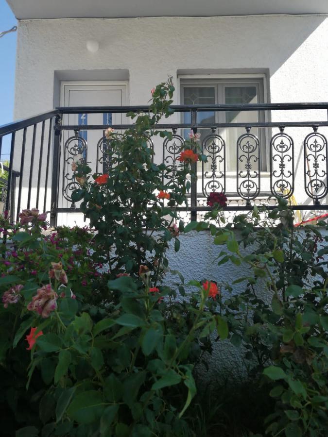 Alexander Apartments Nea Koutali Zewnętrze zdjęcie